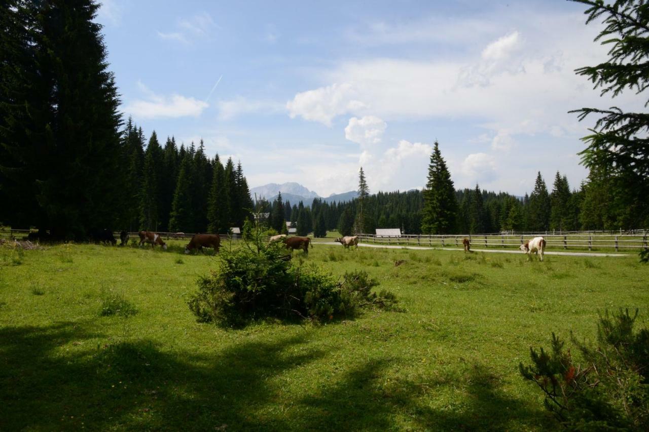 Goreljek Pocitniska Hisa Jurcek Pokljuka 빌라 외부 사진
